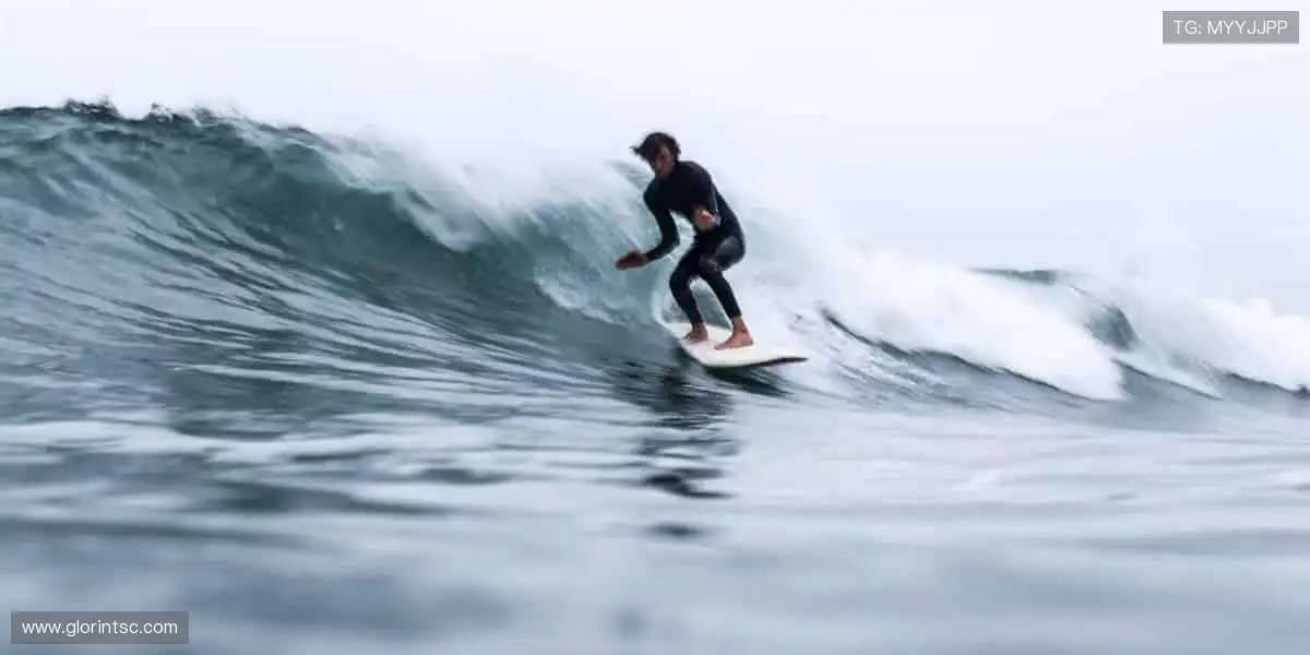 🎁 每次更新都是惊喜，玩家的期待是我们的动力！